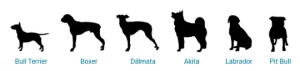 Caminha para Bull Terrier, Boxer, Dalmata, Akita, Labrador, Pit bull