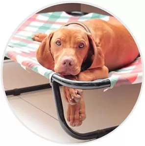 Cama para Cachorro Suspensa